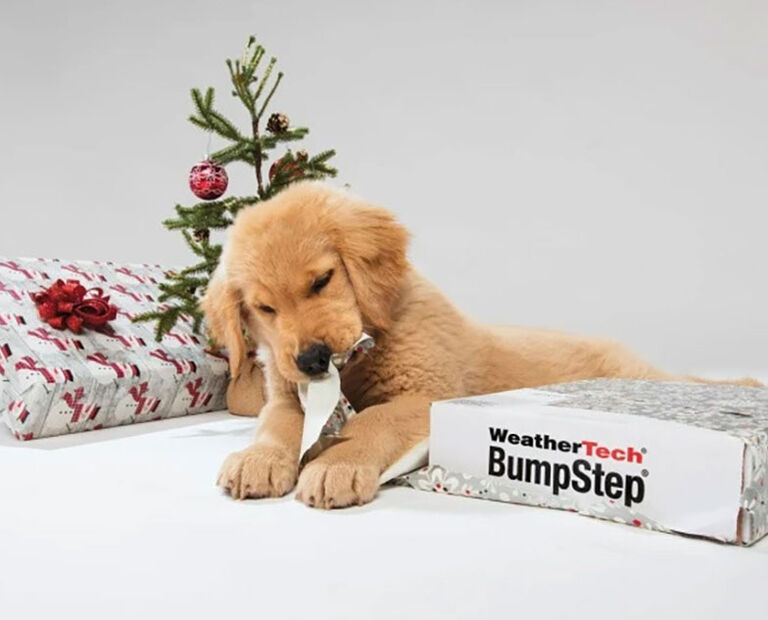 Puppy chewing wrapping paper from WeatherTech gifts