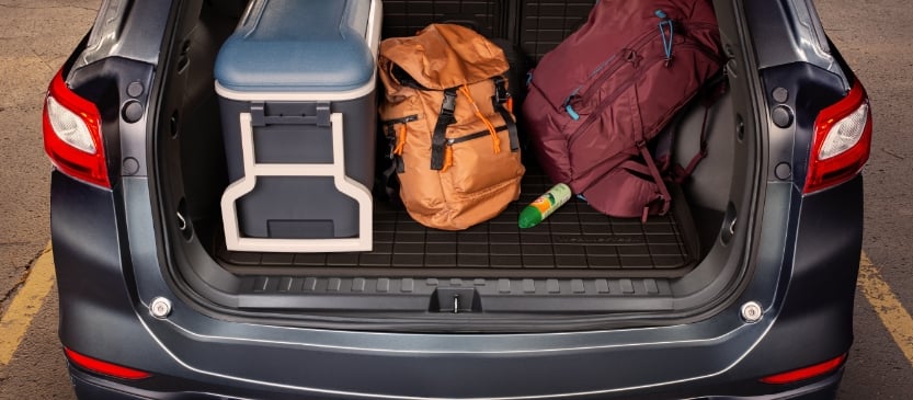 Cargo Trunk Protection Fall