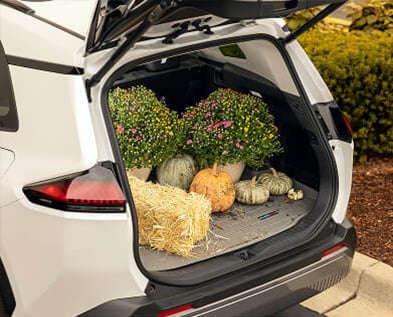 WeatherTech CargoLiner with pumpkins loaded into vehicle.