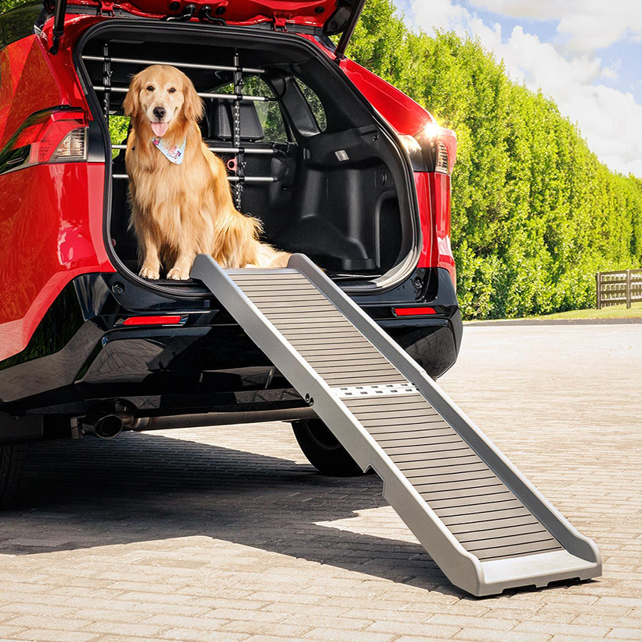 image of golden retriever in the cargo of an S U V with a weathertech pet barrier behind the seats and a weathertech pet ramp leading down to the ground