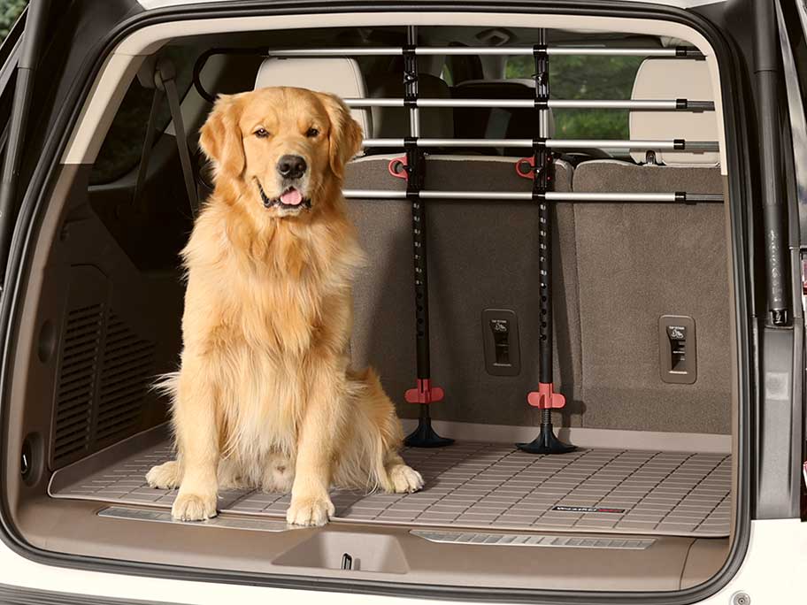 Pet Barrier