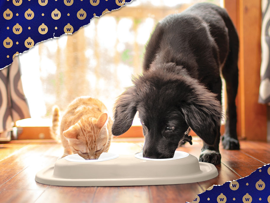 Gifts for Pet Owners