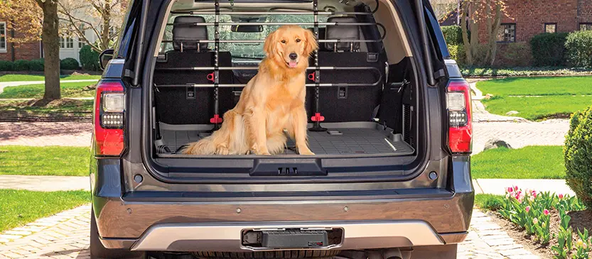 Vehicle Pet Accessories