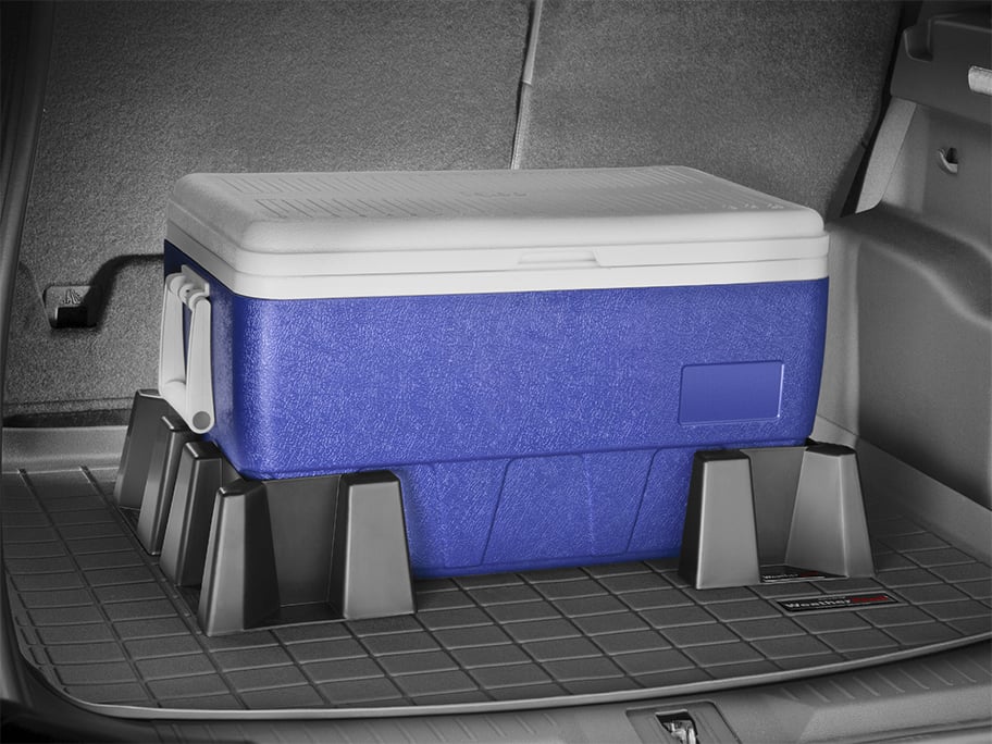 CargoTech